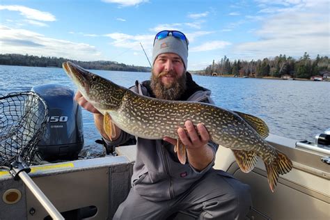 pike .